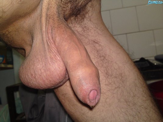 Huge Shaved ass cock balls частное