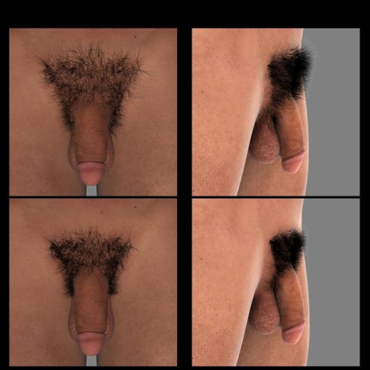 Волосатый мужской лобок