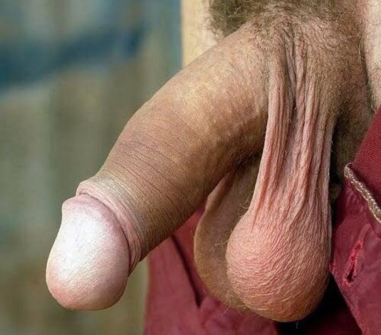 Огромный висячий пенис