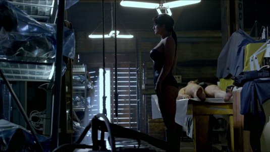 Джина Карано порнография