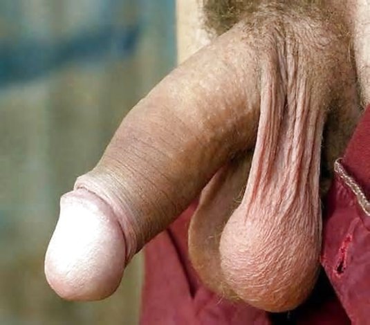 Мужские яички волосатые