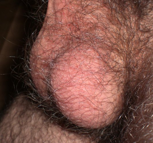 Волосатые парни с огромными членами