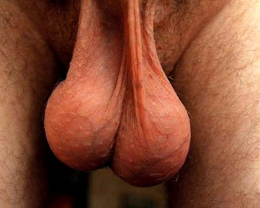 Волосы на мошонке у мужчин