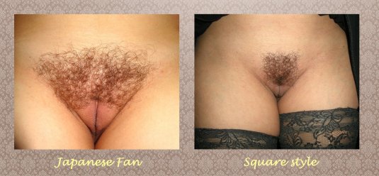 Черные волосатые лобковые волосы