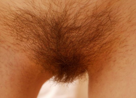 Светлые волосы на лобке у мужчины