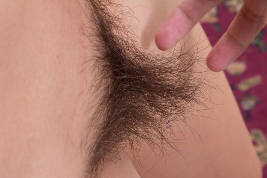 Красивые волосатые женщины