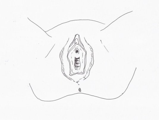 Схема влагалища точка g