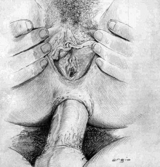 Вагина рисунок карандашом