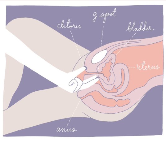 Схема проникновения члена