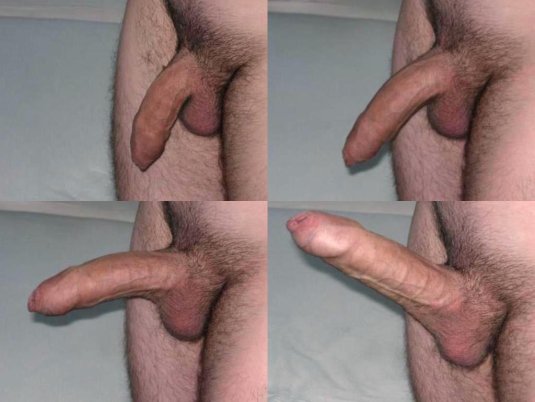 Мужской член без эрекции