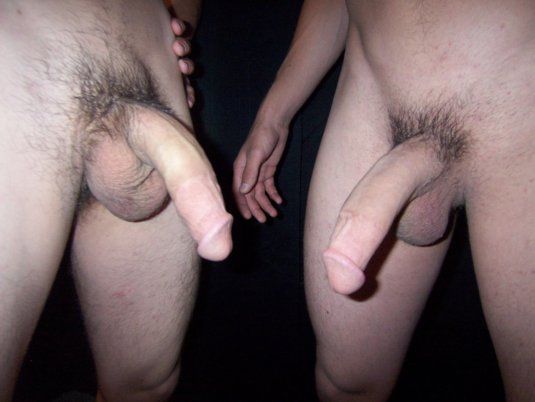 Маленький лежачий член