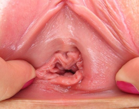 Писька изнутри