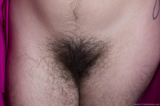 Волосатая лобок