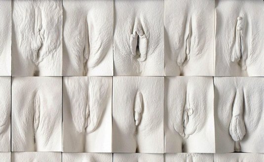 Вагина формы