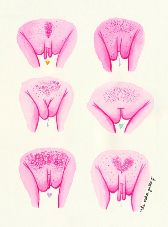 Красивые женские вульвы