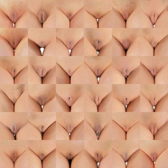 Женская писька виды