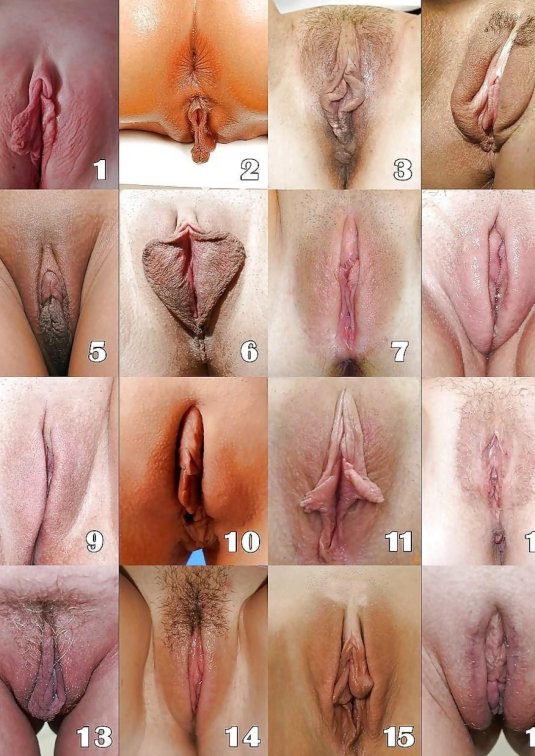 Виды писек женские