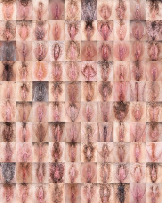 Женские вагины разных рас