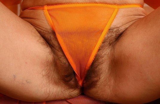 Волосатая киска в трусиках