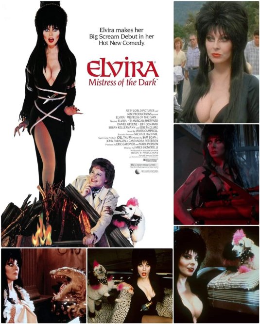 Повелительница тьмы эльвира