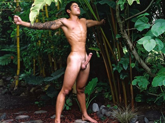 Мужчины голышом на природе