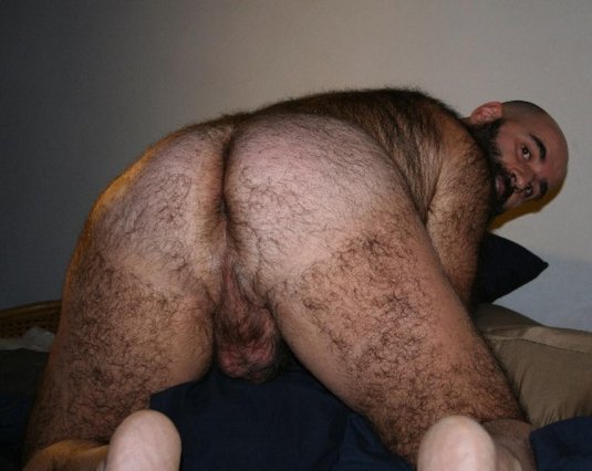Волосатая мужская спина