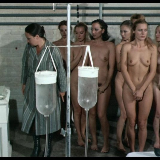 Фильм 1977 адский лагерь сс