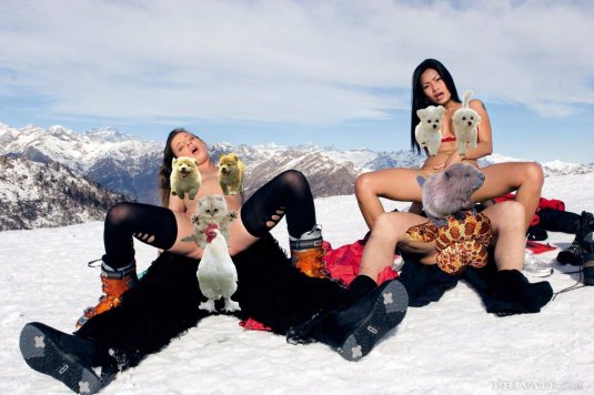 Девушка на сноуборде