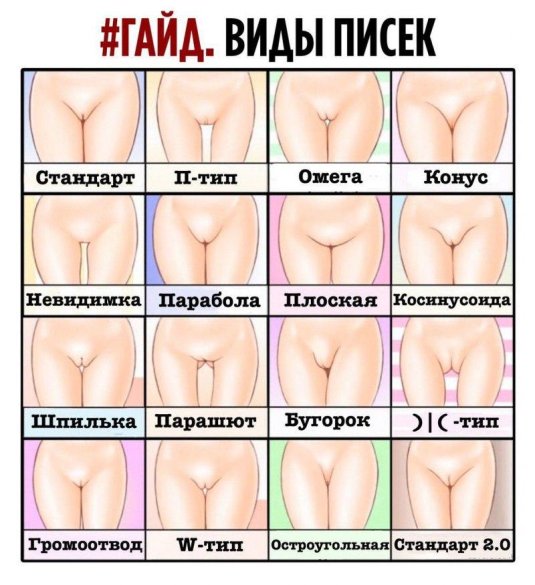 Типы женских писек