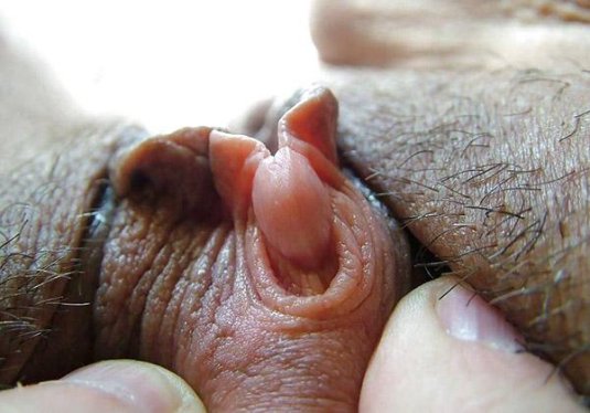 Большая клитор