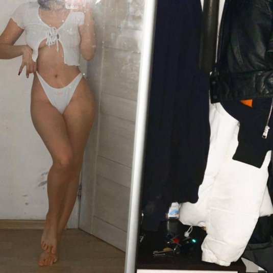 Эмелевская слив