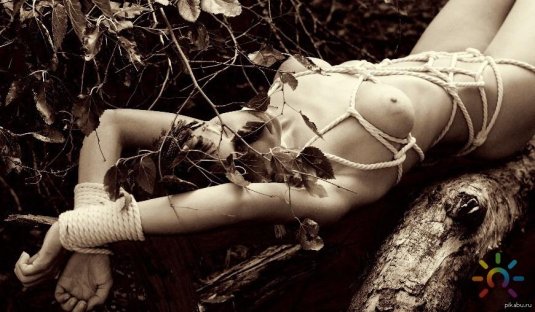 Связанная девушка эротика