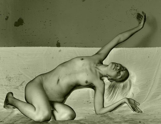 Обнаженная натура