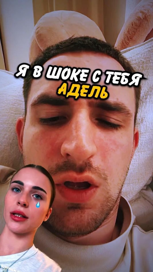 Литвин и адель