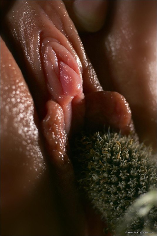 Вагина цветок