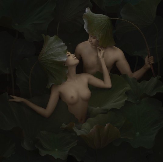 Фотограф duong quoc dinh