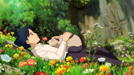 Хаяо миядзаки ариэтти