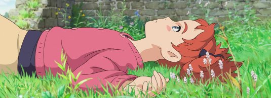 Хаяо миядзаки ведьмин цветок