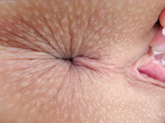 Женский анал крупным планом