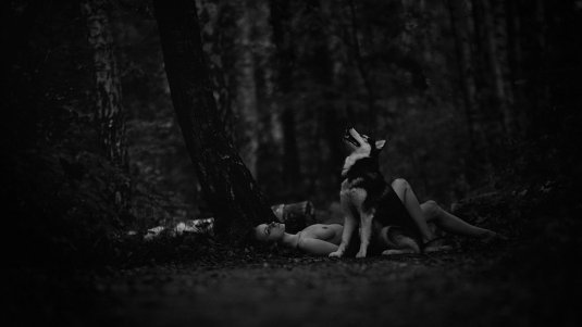 Фотосессия ню в ночном лесу