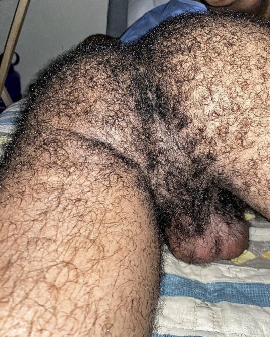 Жопа мужская волосатая