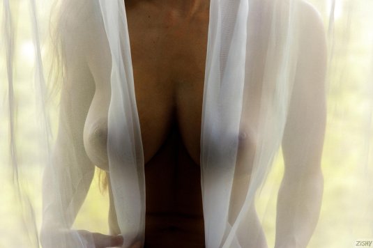 Просвечивает большая грудь