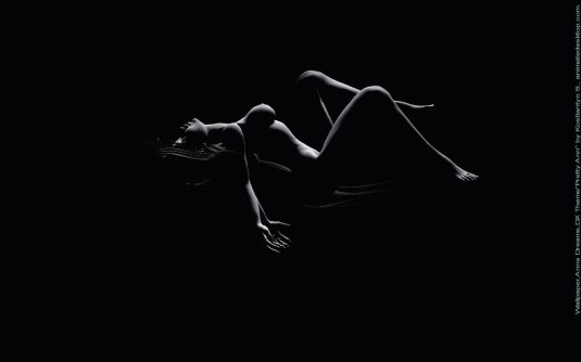 Женские силуэты