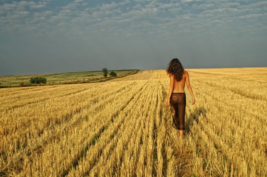 Девушка в пшеничном поле