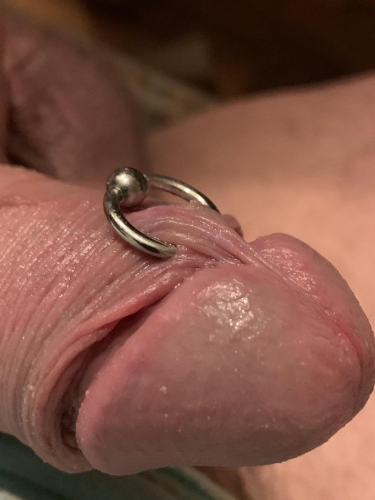 Принц альберт прокол