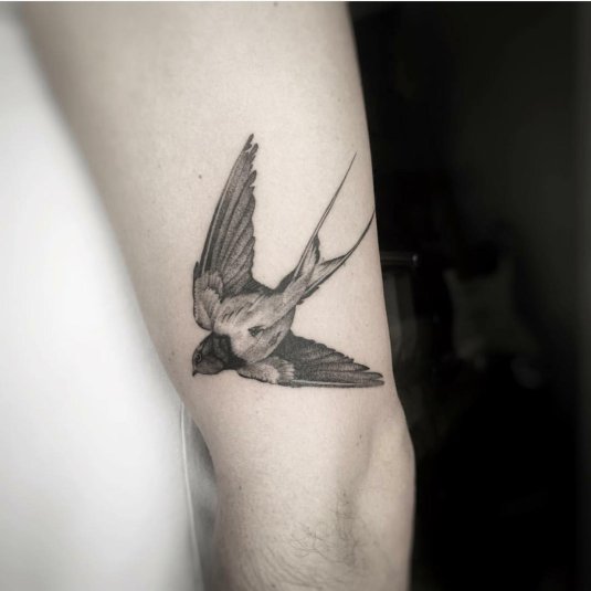 Ласточка тату