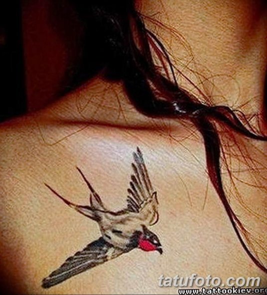 Птица тату