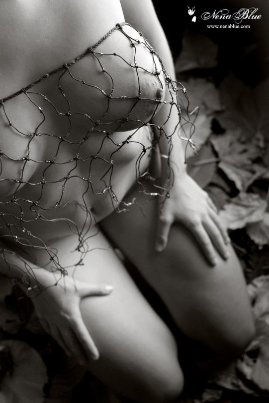 Эстетика эротика