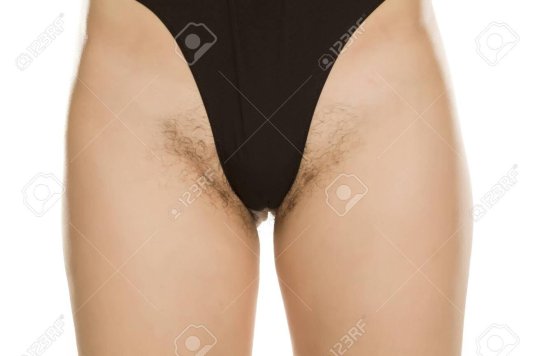 Волосы на женском лобке