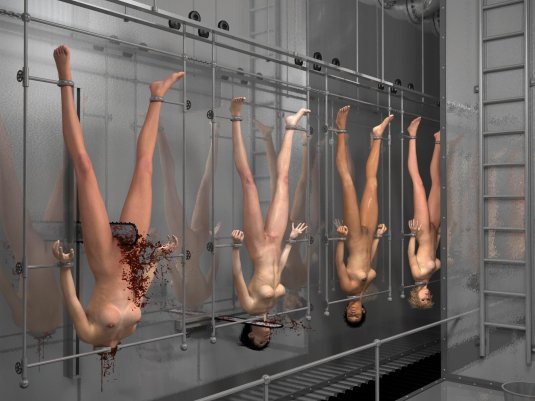 Долчет джессика 3000 гуро